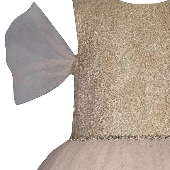 Bonnie Jean Little Girls Mesh Ballerina Party Dress - Taupe - Picture 3 of 3
